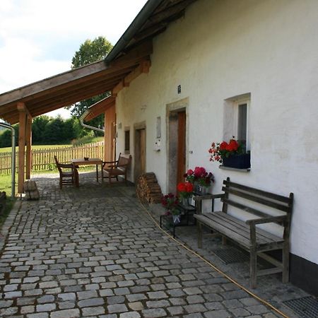 Ferienhaus Winter Blaibach Екстер'єр фото