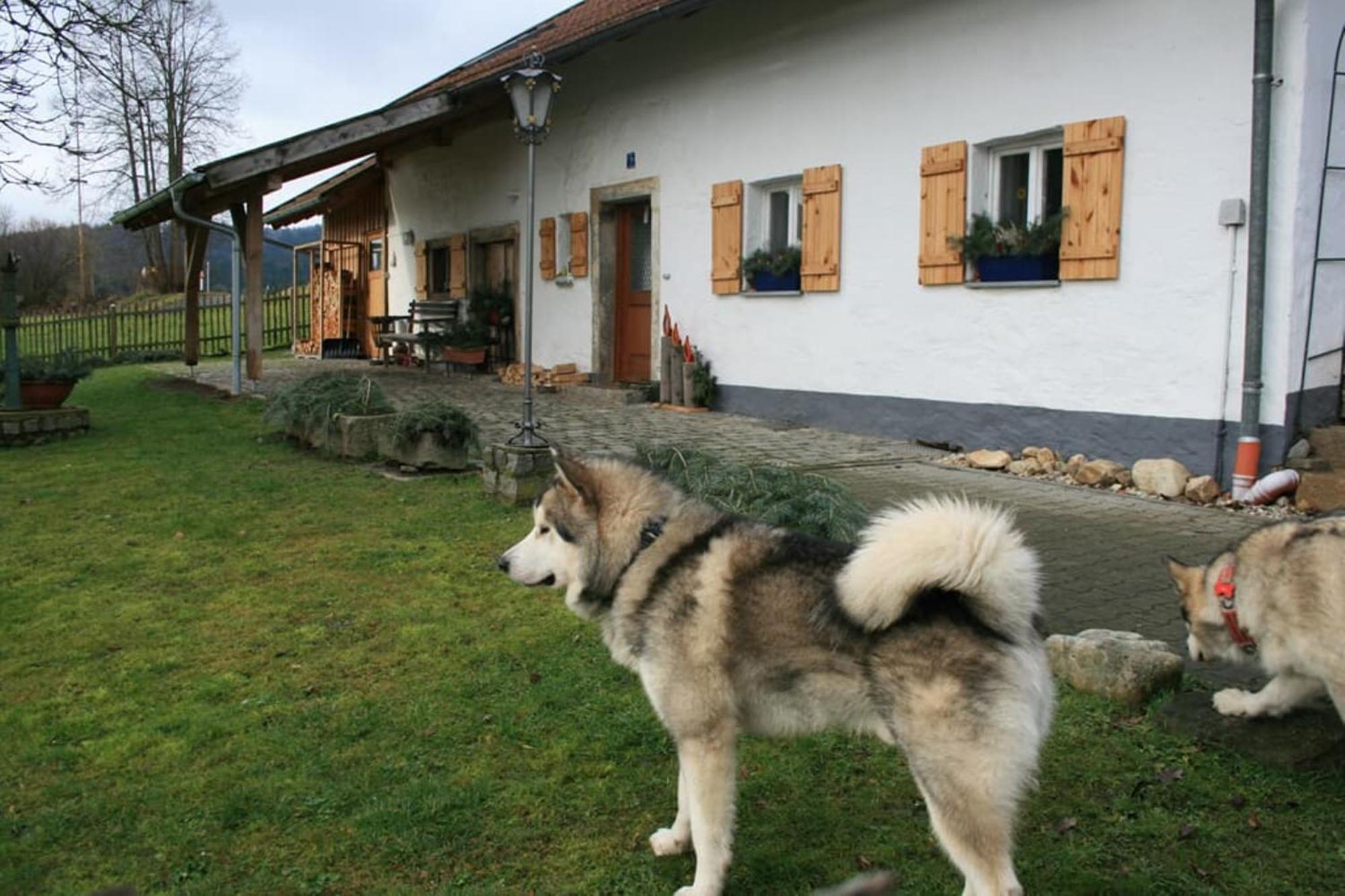 Ferienhaus Winter Blaibach Екстер'єр фото