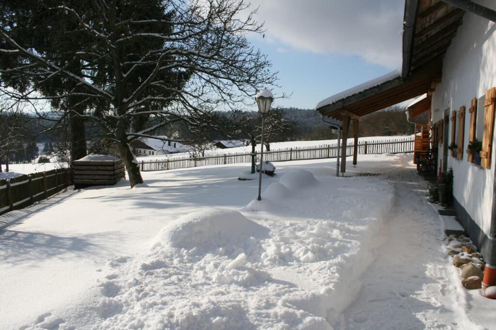 Ferienhaus Winter Blaibach Екстер'єр фото
